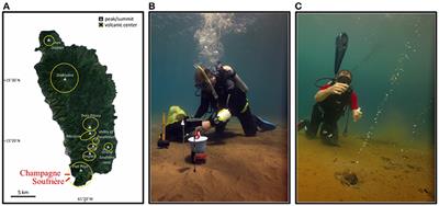 Bacterial Diversity and Biogeochemistry of Two Marine Shallow-Water <mark class="highlighted">Hydrothermal Systems</mark> off Dominica (Lesser Antilles)